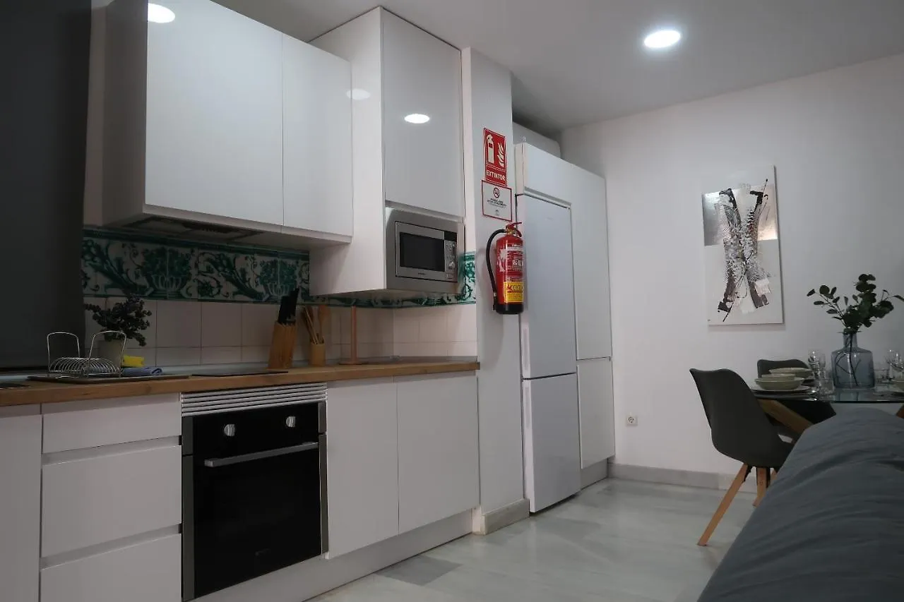 J & E Malaga Center Apartamentos 0*,  Spain